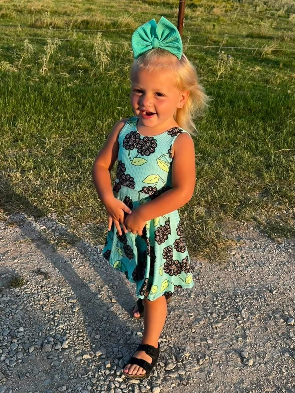 Wren Dress